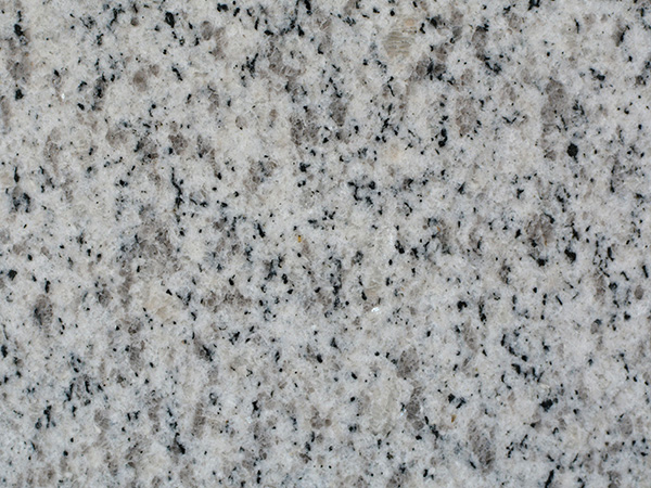 1-210P3163545b3.jpg
